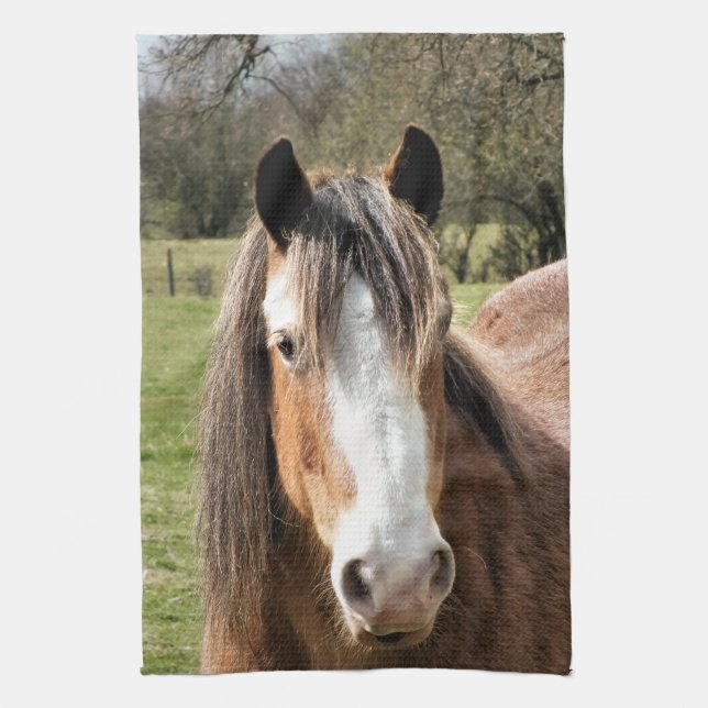 HORSE KITCHEN TOWEL (Vertical)