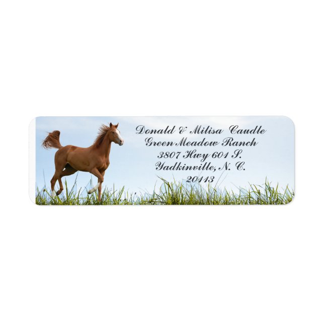  HORSE LABEL (Front)
