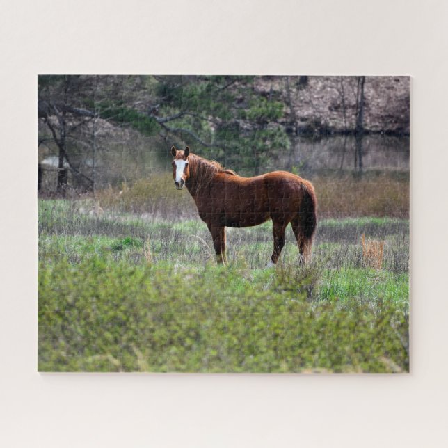 Horse looking back jigsaw puzzle (Horizontal)