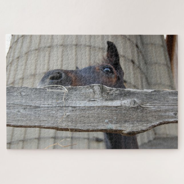 Horse looking over the fence jigsaw puzzle (Horizontal)