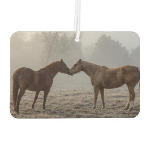 Horse Love Air Freshener