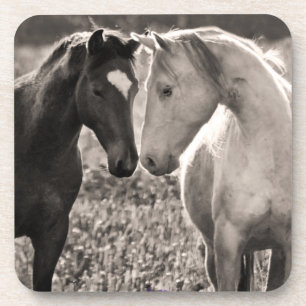 Horse Love Coaster