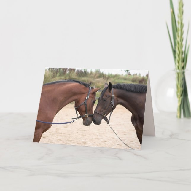 horse love greeting card (Front)