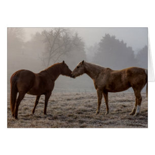 Horse Love Greeting Card