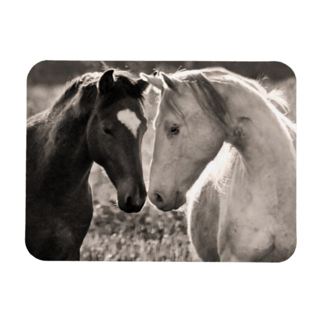 Horse Love Magnet (Horizontal)