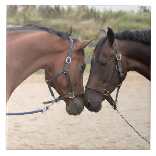 horse love tile