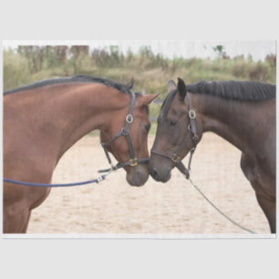 horse love tissue paper