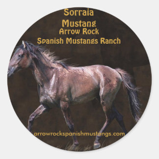 Horse-lover Equine design Classic Round Sticker