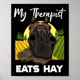 Horse Lover Horseback Riding Hay Horse Rider Poster