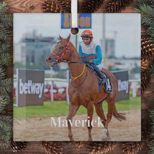 Horse Lover Personalized Pet Photo Equestrian Glass Ornament