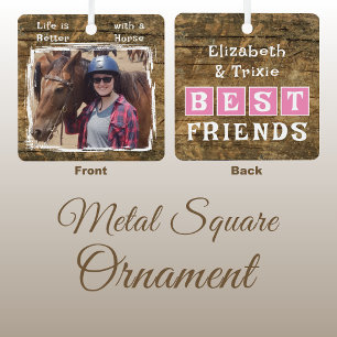 Horse lover photo names pink rustic metal ornament