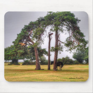 Horse-lover's Beautiful Equine Animal Design Mouse Pad