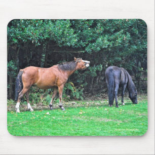 Horse-lover's Beautiful Equine Animal Design Mouse Pad