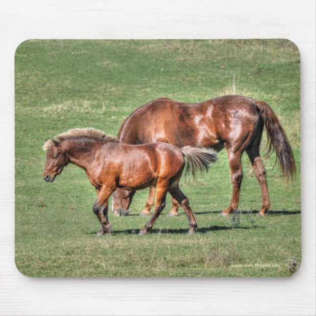 Horse-lover's Beautiful Equine Animal Design Mouse Pad (Front)
