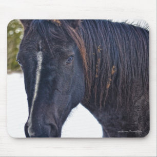 Horse-lover's Beautiful Equine Animal Design Mouse Pad