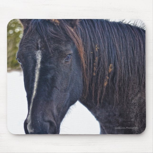 Horse-lover's Beautiful Equine Animal Design Mouse Pad (Front)