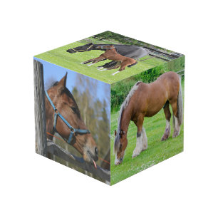 Horse Lover's custom photo cube