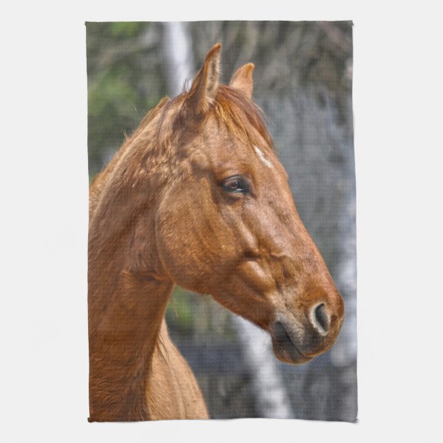 Horse-lover's Equine Animal Design Kitchen Towel (Vertical)