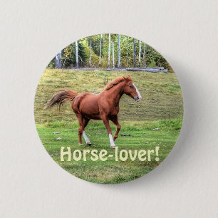 Horse-lover's Equine Photo on a BC Ranch 2 Inch Round Button
