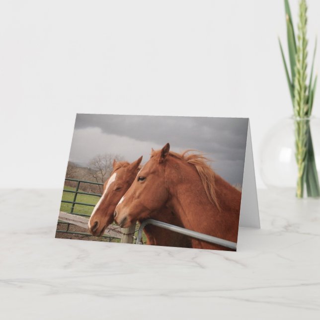 Horse Lovers Greeting Cards (Front)