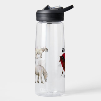 Horse Loving Teacher Water Bottle