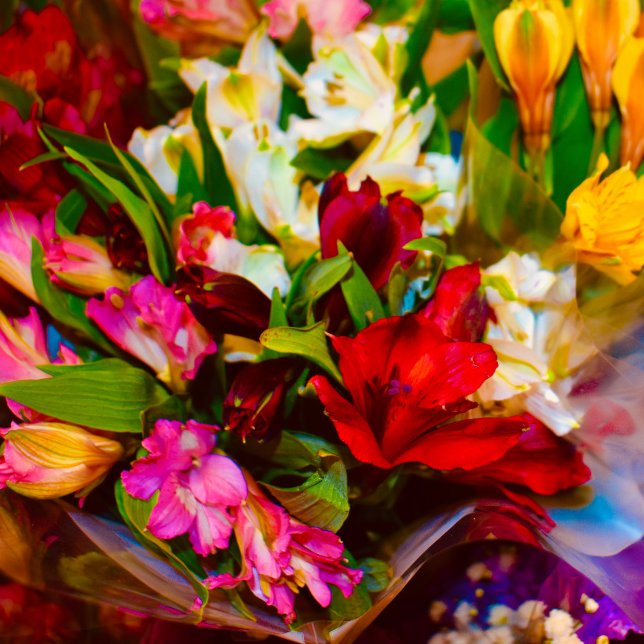 horse lunch box (floral beauty)