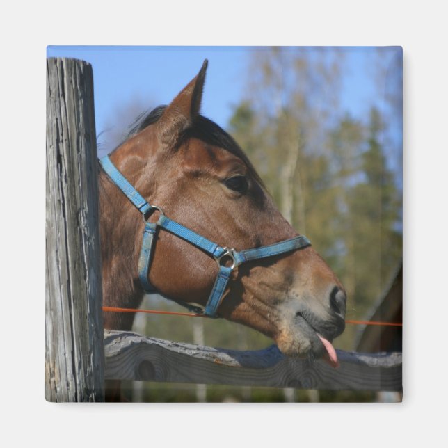 Horse magnet (Front)