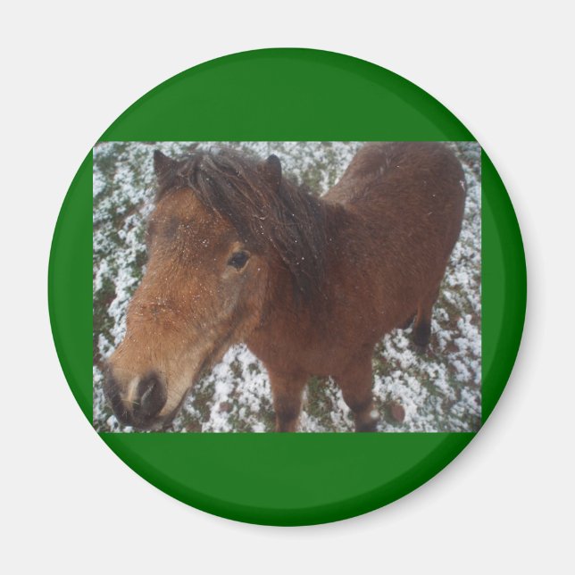 HORSE MAGNET (Front)