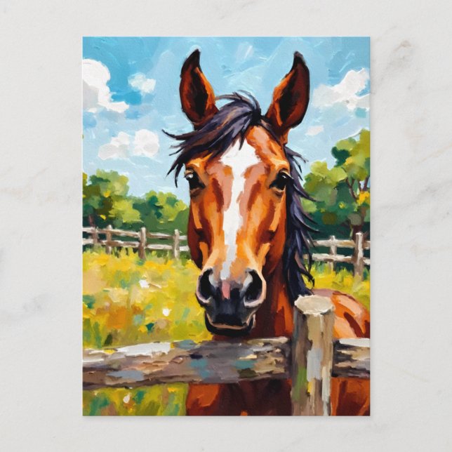 Horse Magnet Postcard (Front)