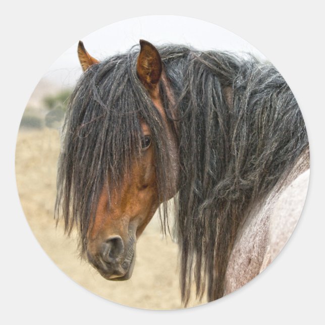 Horse Mane Classic Round Sticker (Front)
