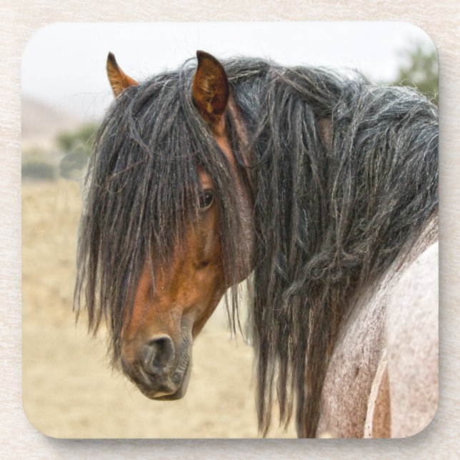 Horse Mane Coaster (Front)