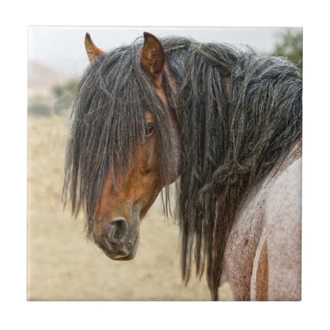 Horse Mane Tile (Front)