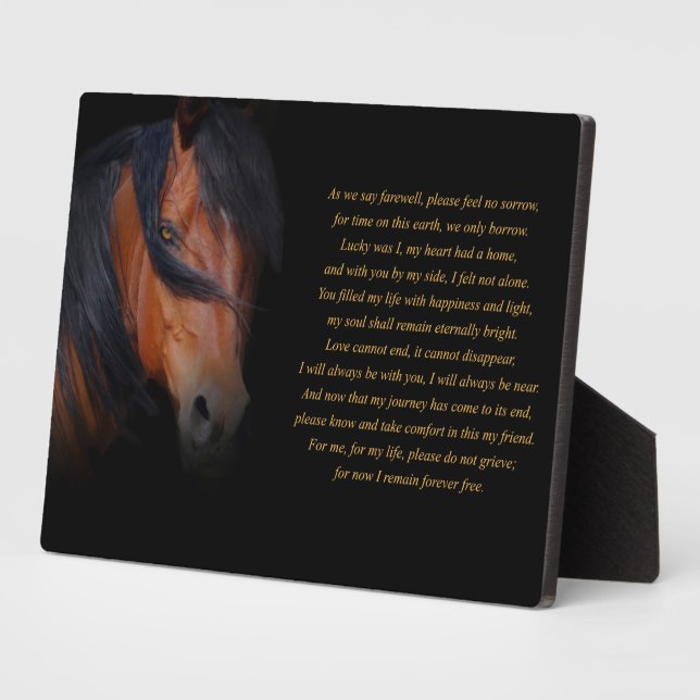 Horse Memorial Tribute with Spiritual Poem Plaque (Side)
