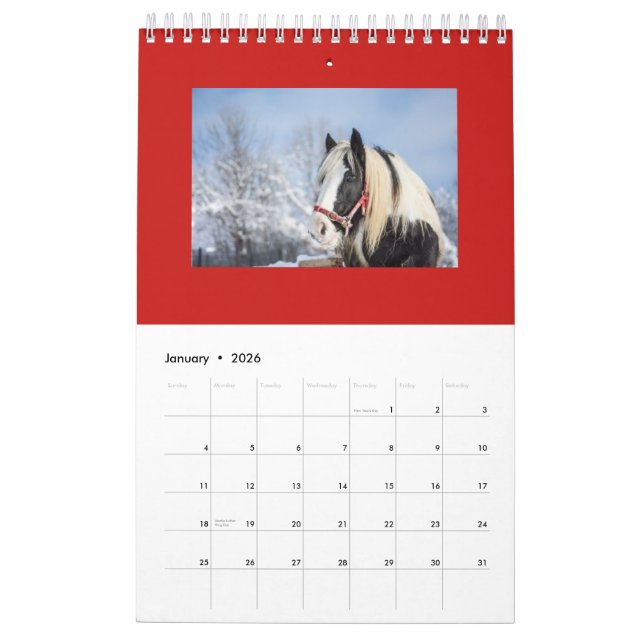 HORSE MONTHLY PLANNING CALENDAR (Jan 2026)