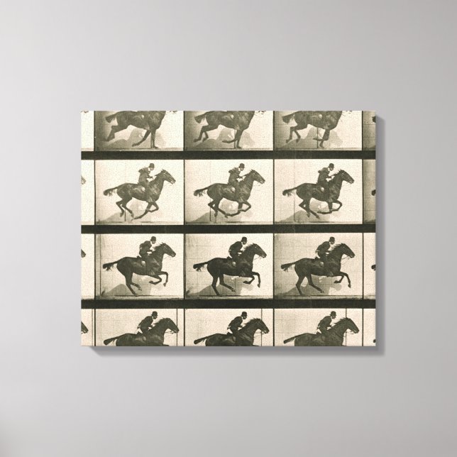 Horse Motion Vintage Photography Canvas Print (Front)