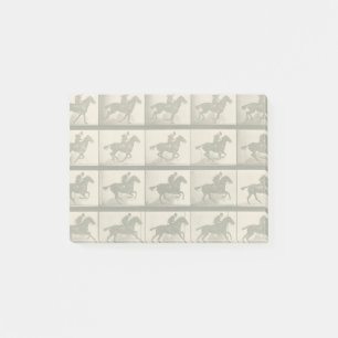 Horse Motion Vintage Photography Post-it Notes