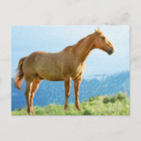 *~* Horse - Mountains Hill AR22 Equine Watercolor