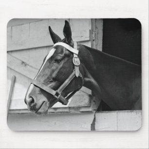 Horse Mouse Pad