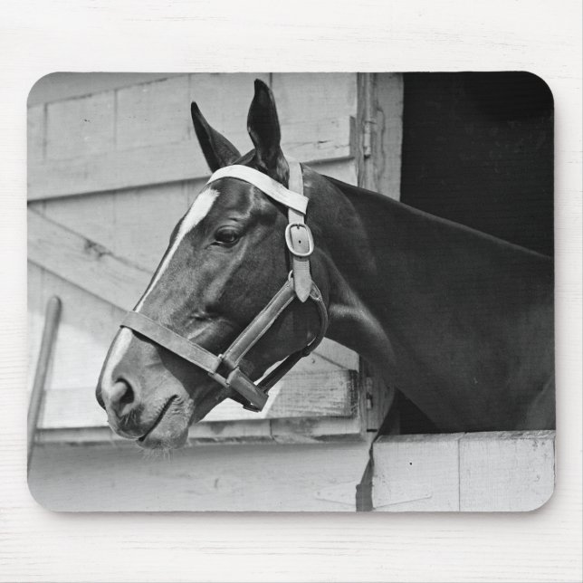 Horse Mouse Pad (Front)