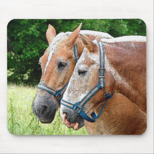 Horse Mouse Pad