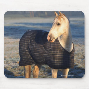 horse mouse pad
