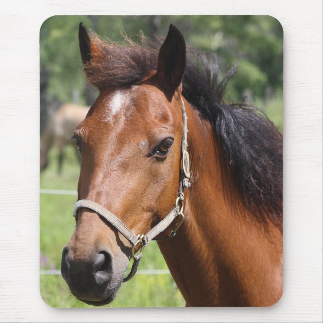 Horse Mouse Pad (Front)