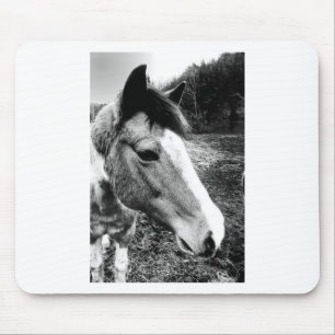 Horse Mouse Pad
