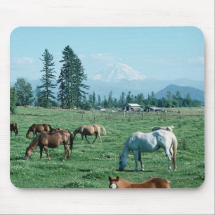Horse Mousepad