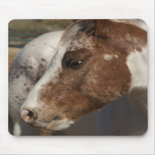 Horse Mousepad
