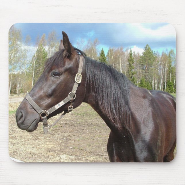 Horse mousepad (Front)