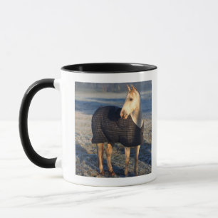horse mug