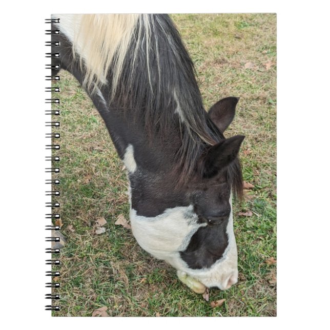 Horse note book (Front)