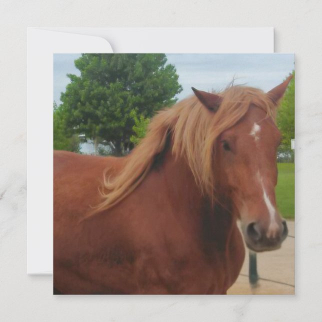 Horse Note Card | Elegant Equestrian Greeting Card (Front)