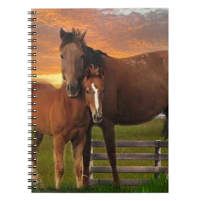 Horse Notebook (Front)